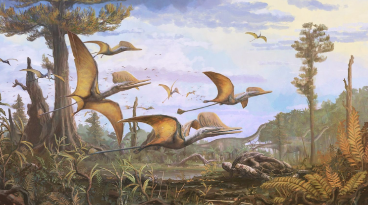 New species of flying reptile ‘pterosaur’ discovered in Scotland